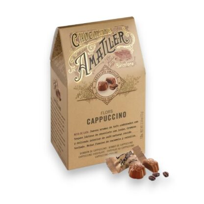 Étui flowpack pralinés Chocolat lait cappuccino 72g